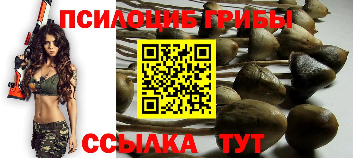 Псилоцибиновые грибы Psilocybine cubensis Оренбург
