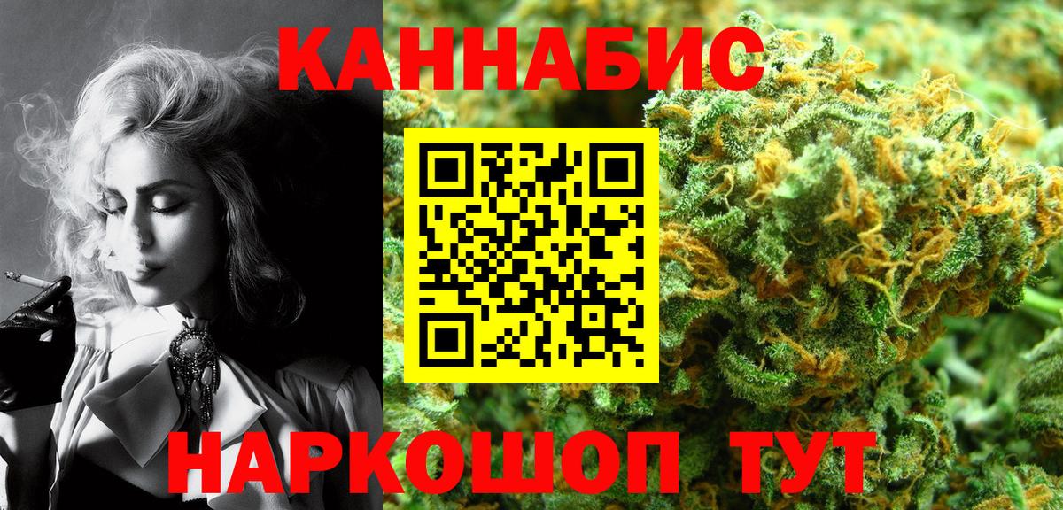Конопля сатива Оренбург